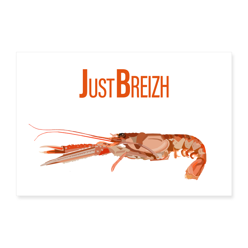 POSTER 60 x 40 cm / Fond BLANC / Design LANGOUSTINE - blanc