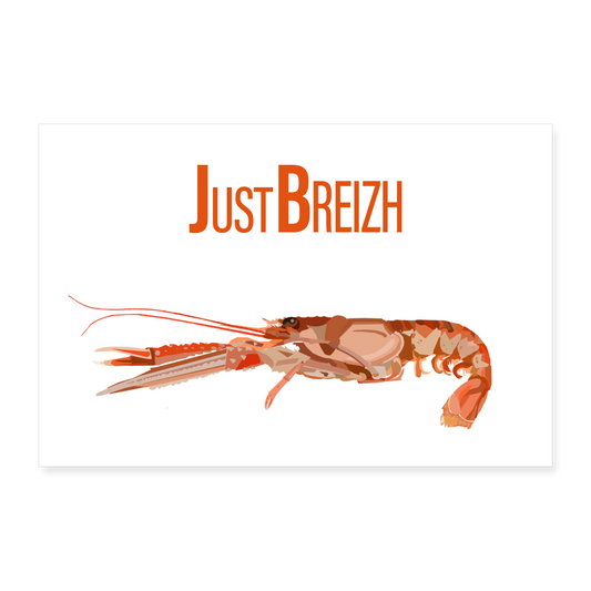 POSTER 60 x 40 cm / Fond BLANC / Design LANGOUSTINE - blanc