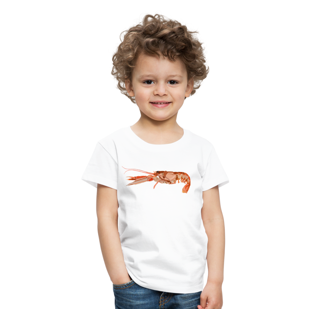 ENFANTS : T-SHIRTS / Langoustine / Textile BLANC / Design ORANGE - blanc